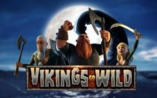 Ойын автоматы Vikings Go Wild